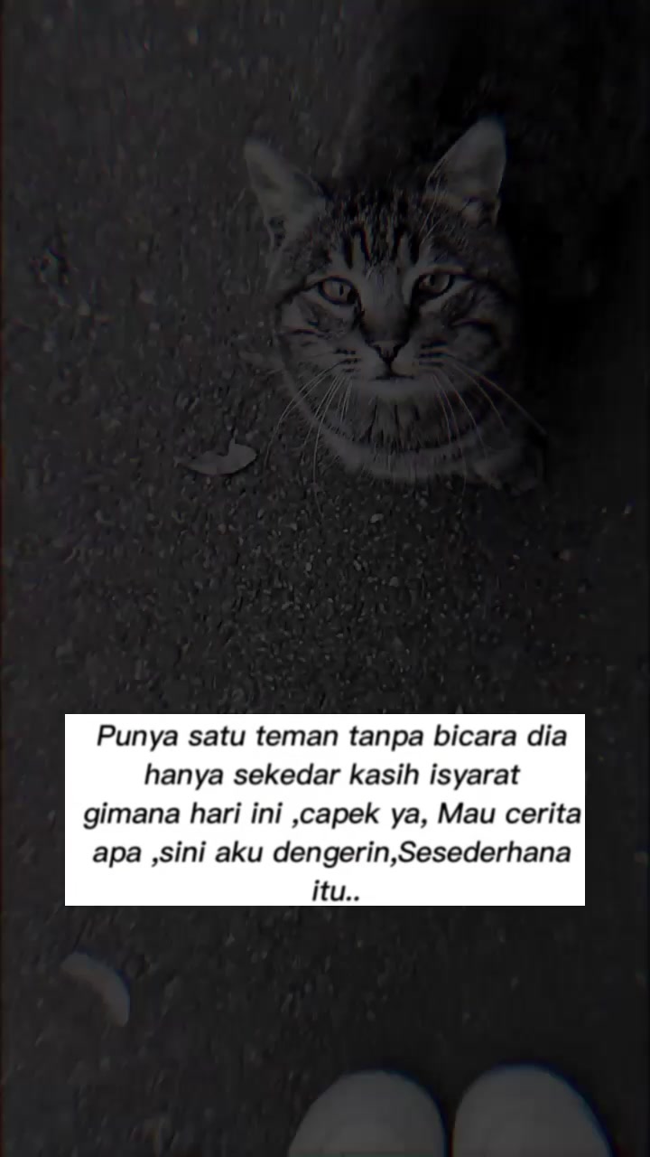 @๐α๐พโ๐พ