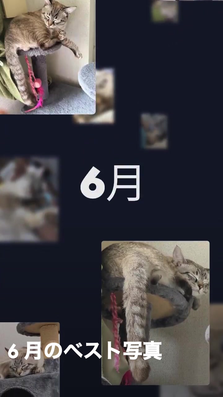@ð¥é»æŸ€æ£å¿ð¥