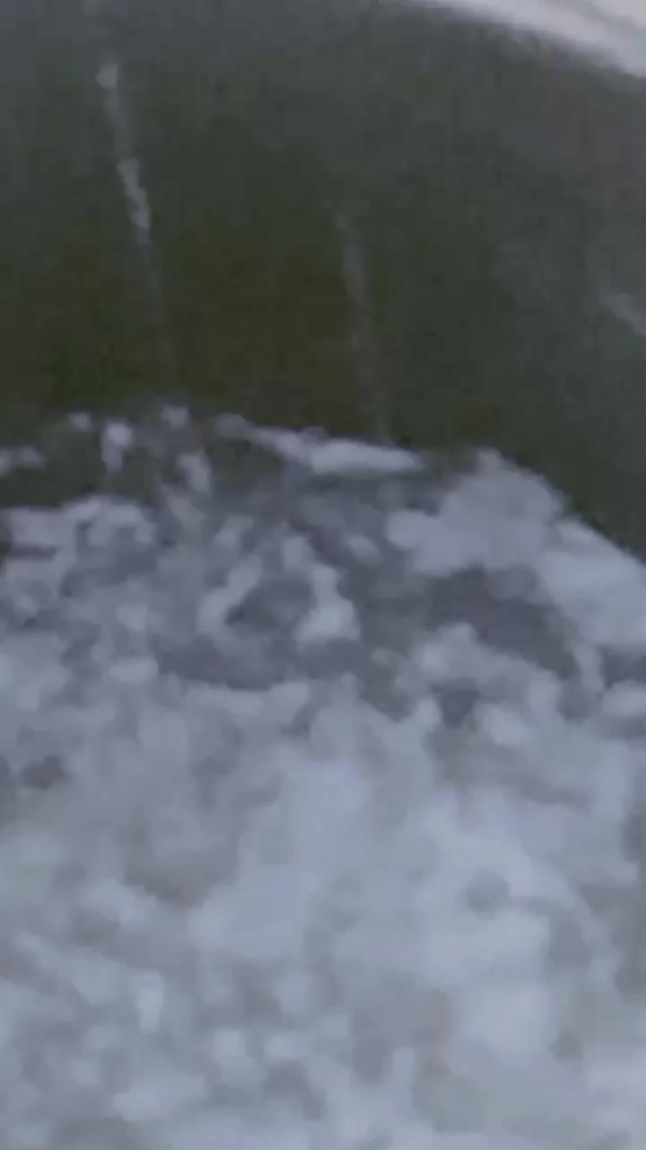 @Editor55