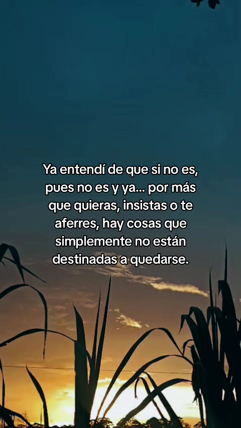 @Zhambrano❤️🩹