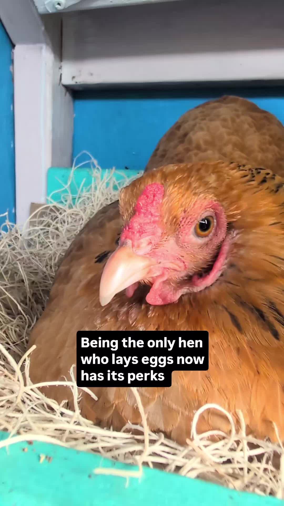 @Kelly Rutkowski