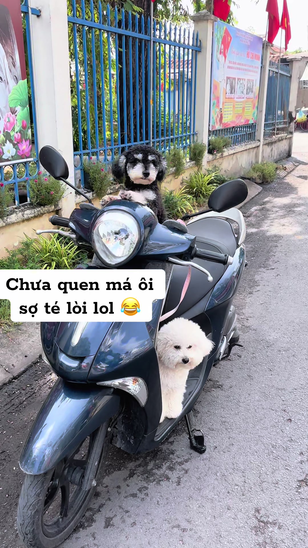 @Sam Xàm phiêu lưu ký