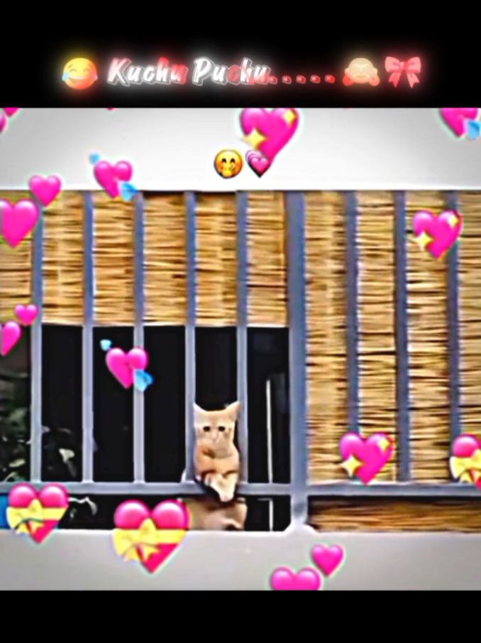 @๐๐ฎ๐๐ฎ.......๐๐งธ