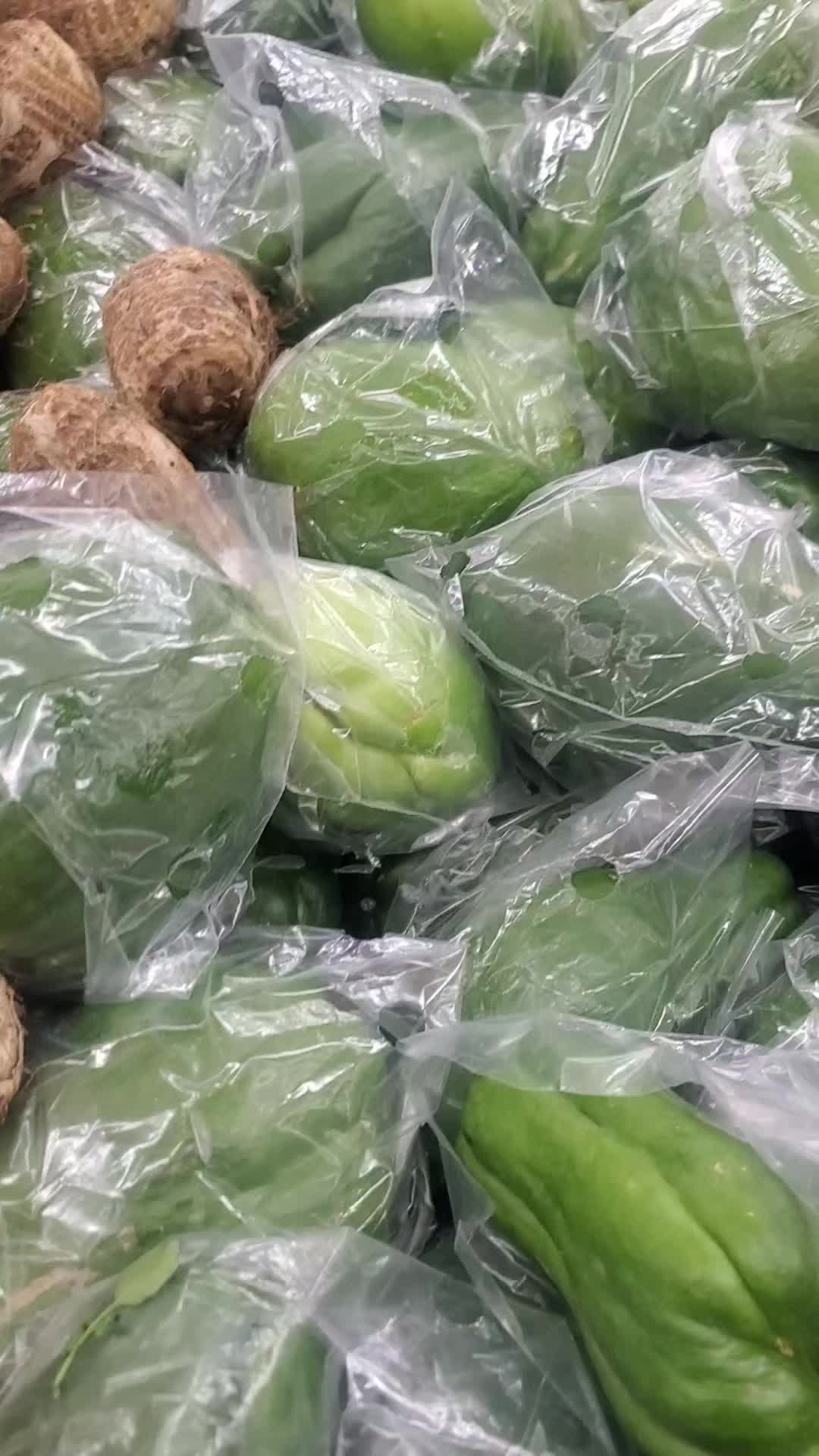 @NANA PLANT🏝️