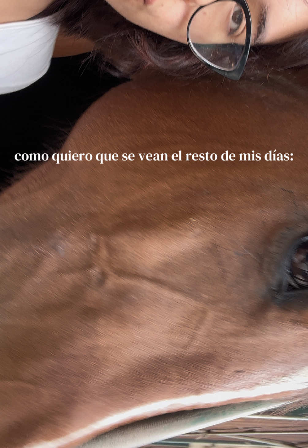 @karina ₊˚⊹ ᰔ