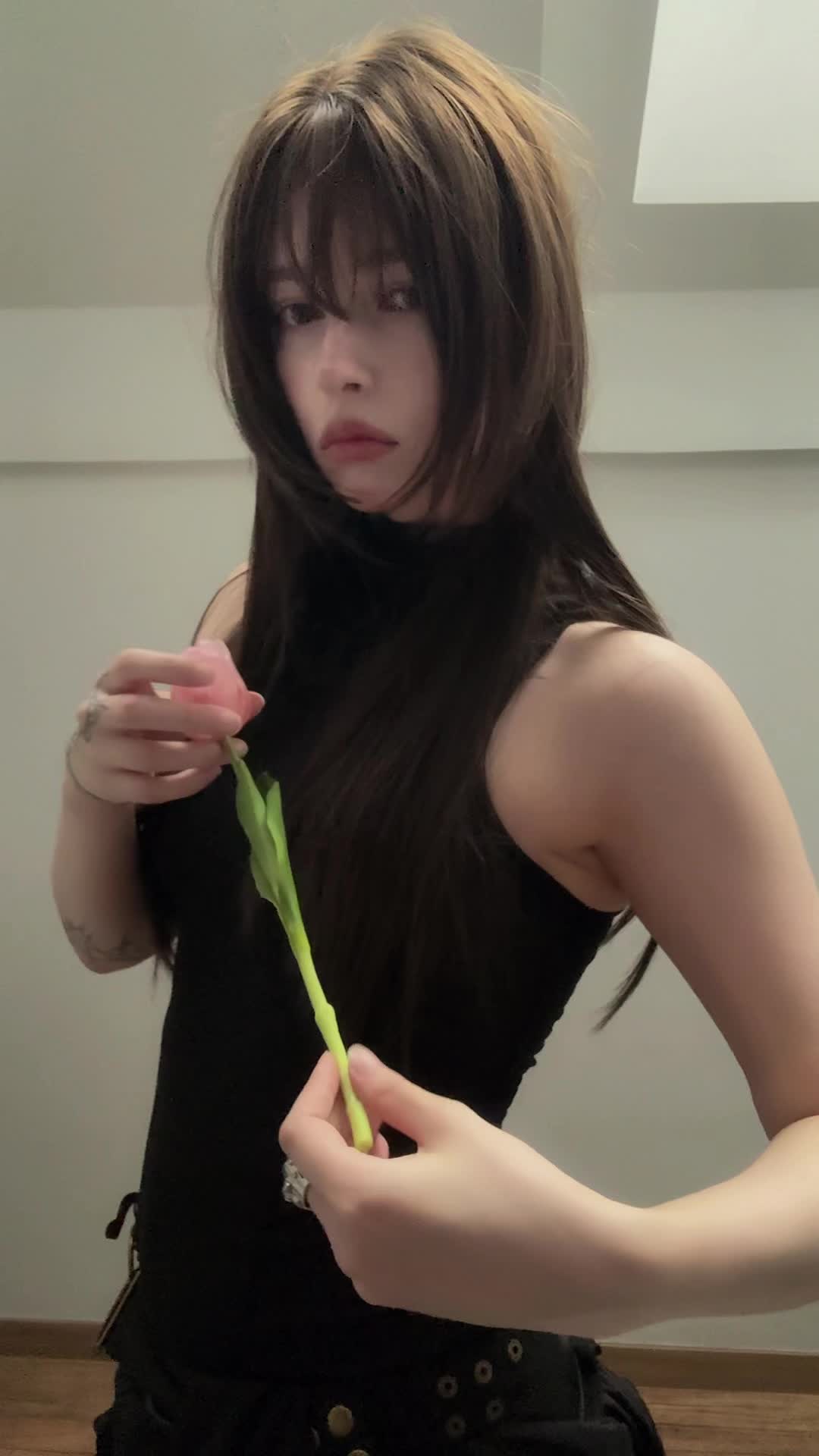 @setsuba