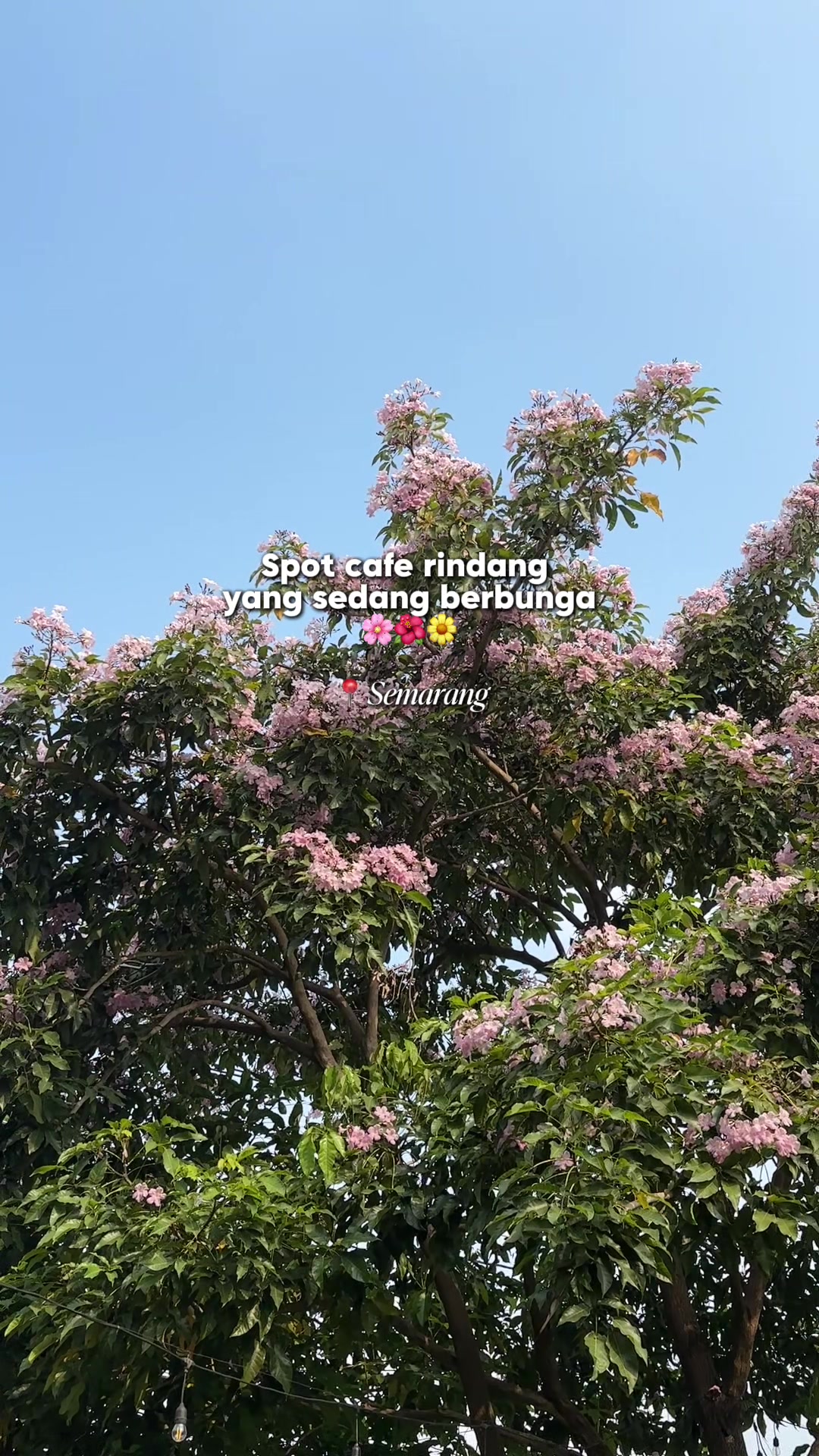 @Afyy | Njajal