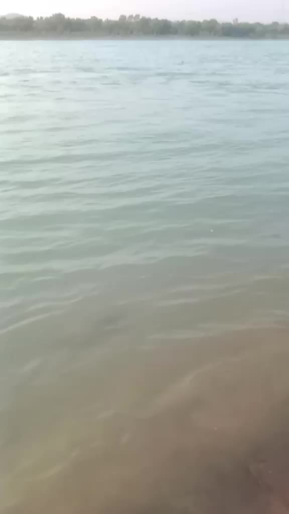 @jani jani
