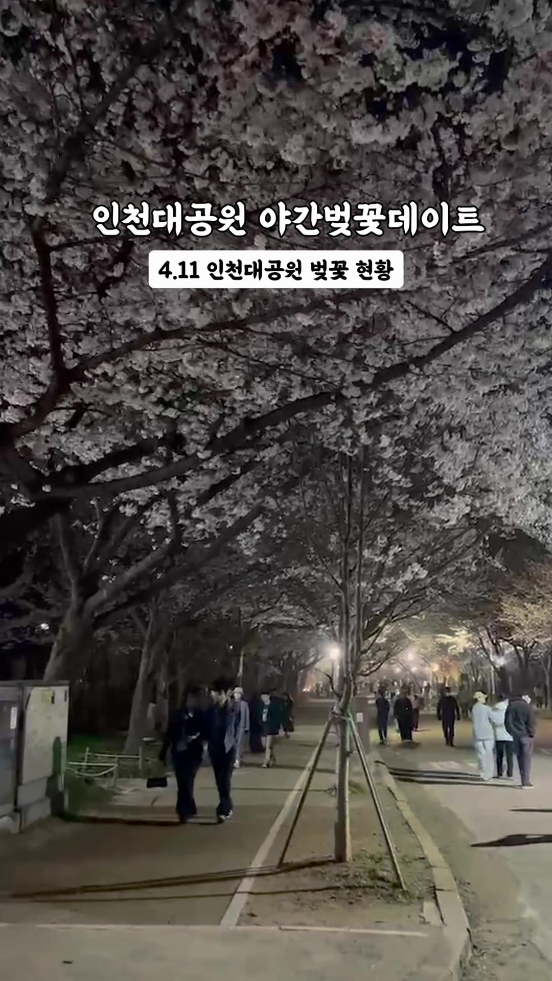 @yeon__pooh