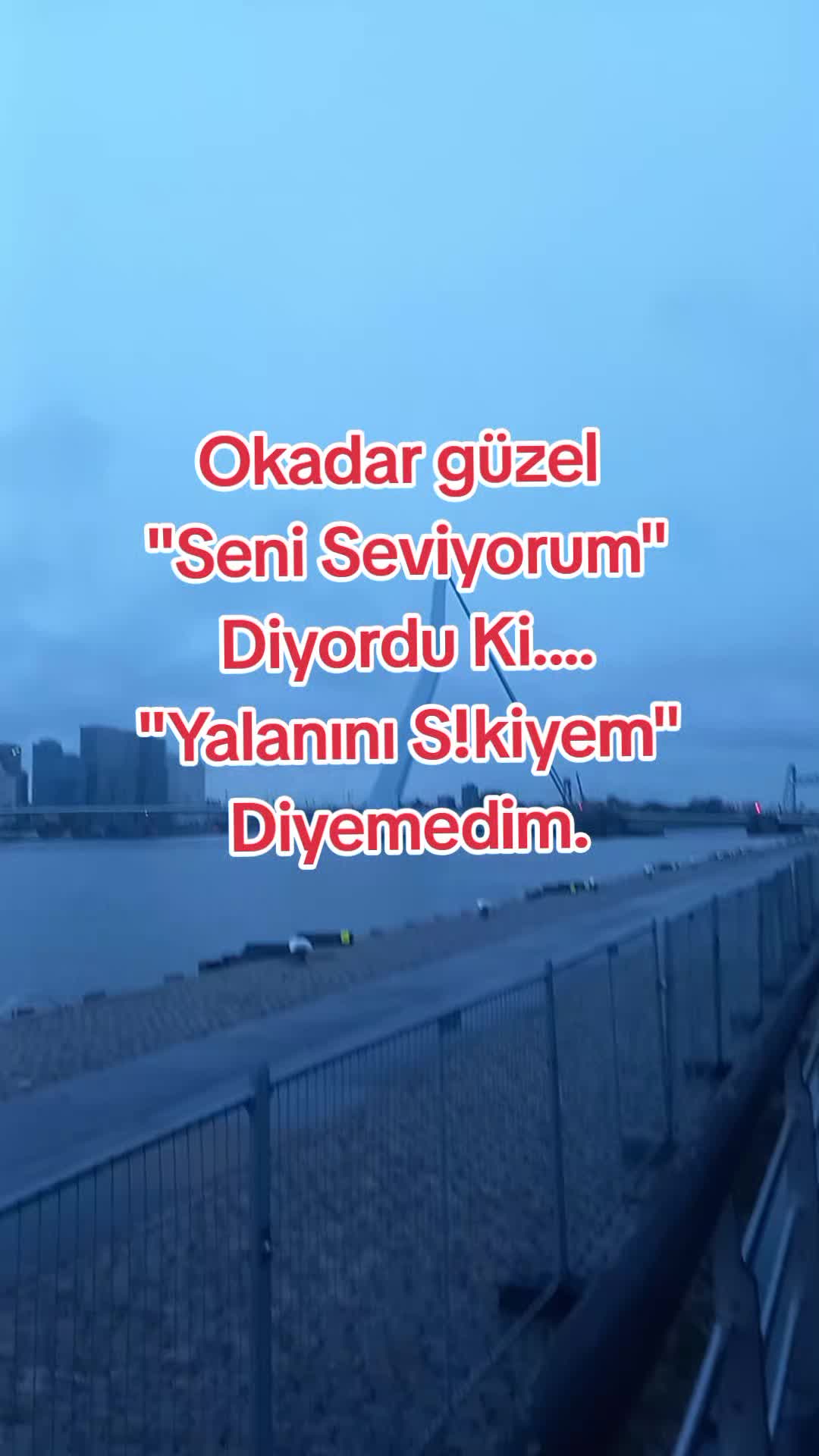 @seĺlie