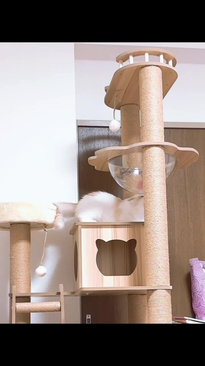 @Kiki