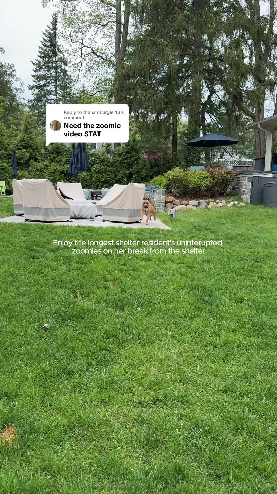 @Maria