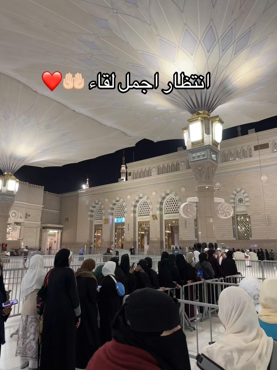 @Ghada Mansour