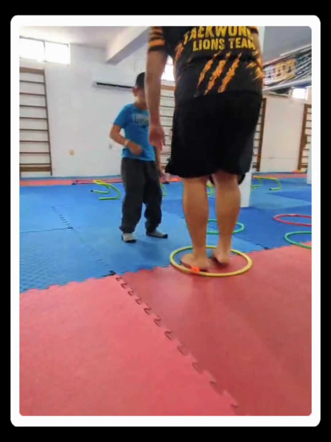@taekwondolionsteam