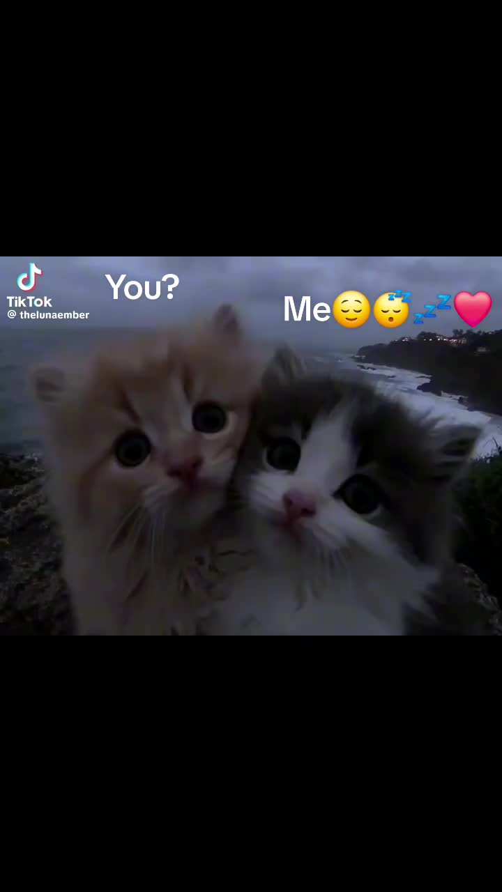 @🌺𝔽ℯℓϊx🌺