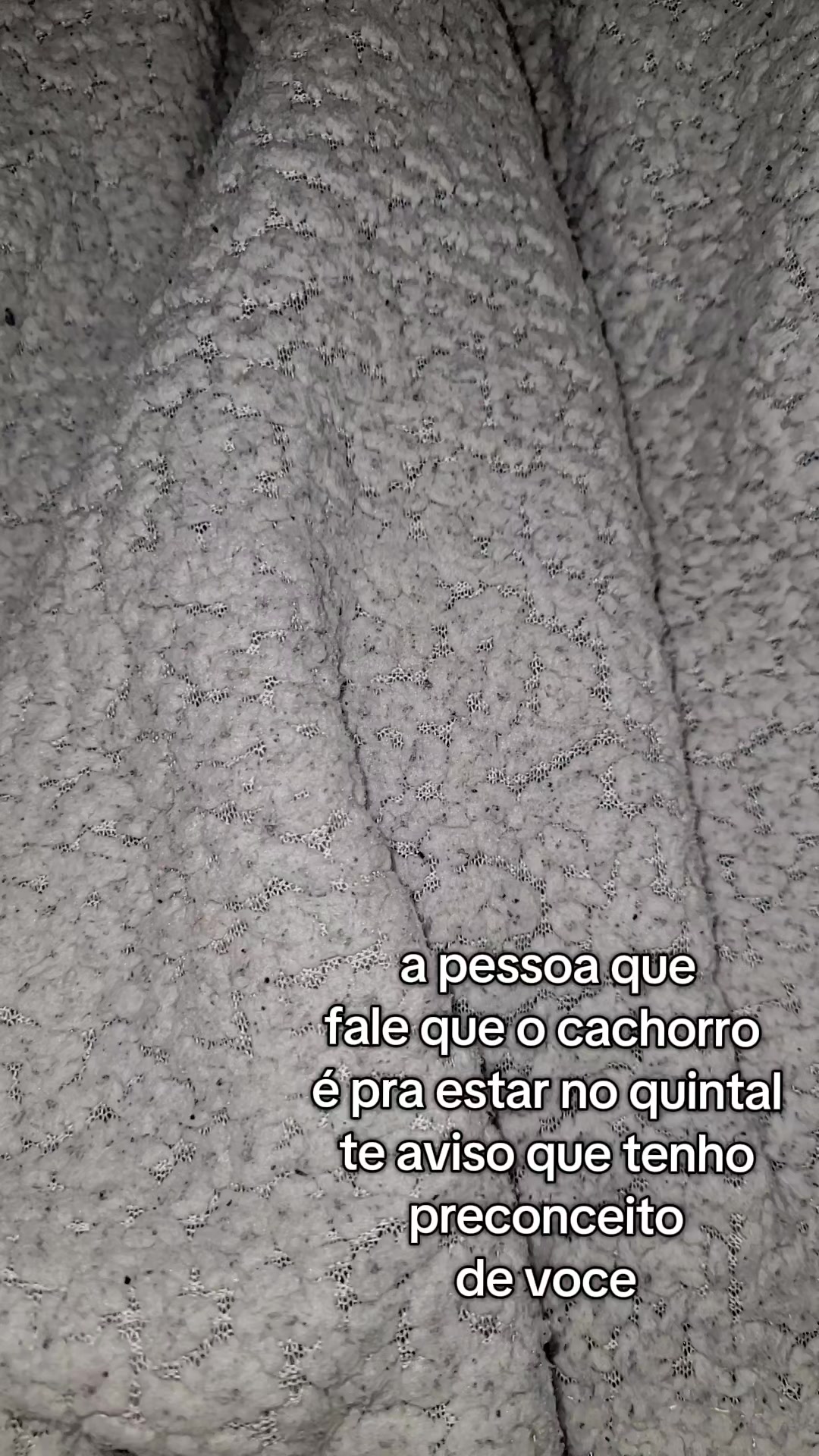 @ElaCC