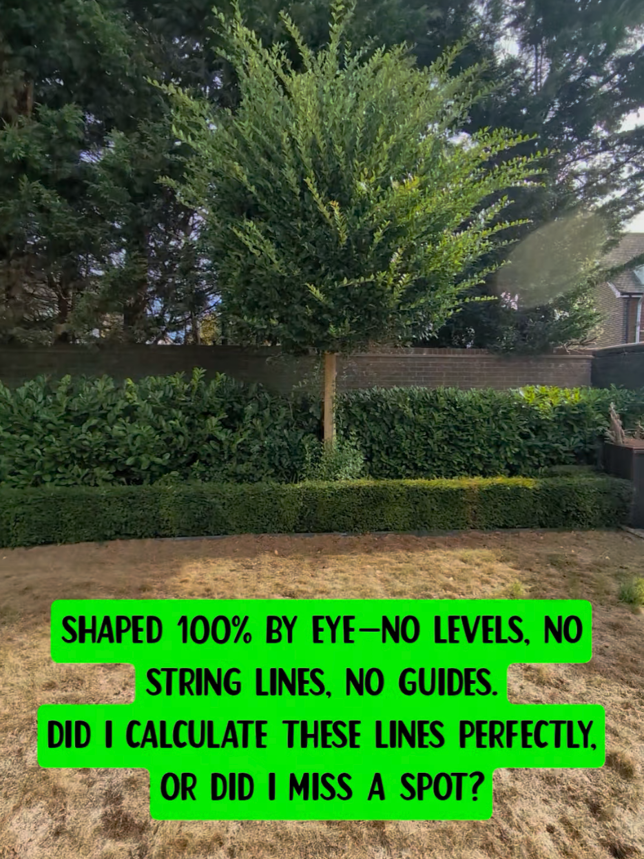@Gary Hall Garden Services