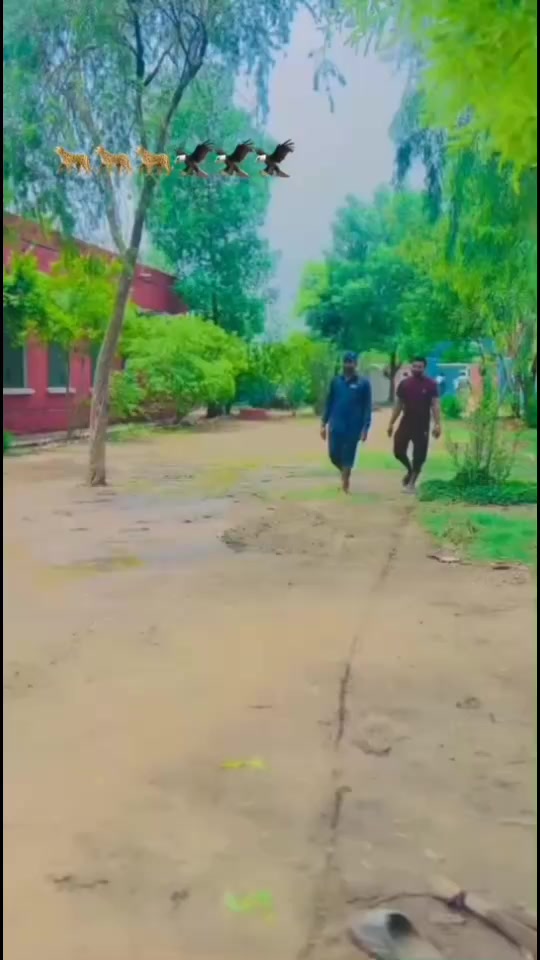 @Qasim07