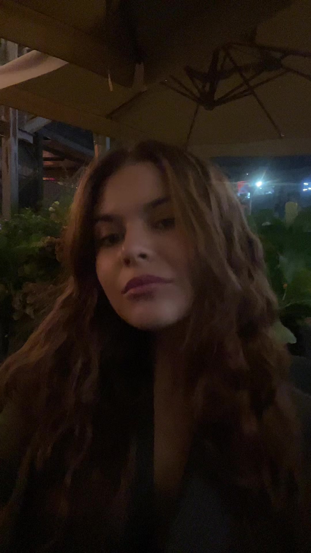 @holodok