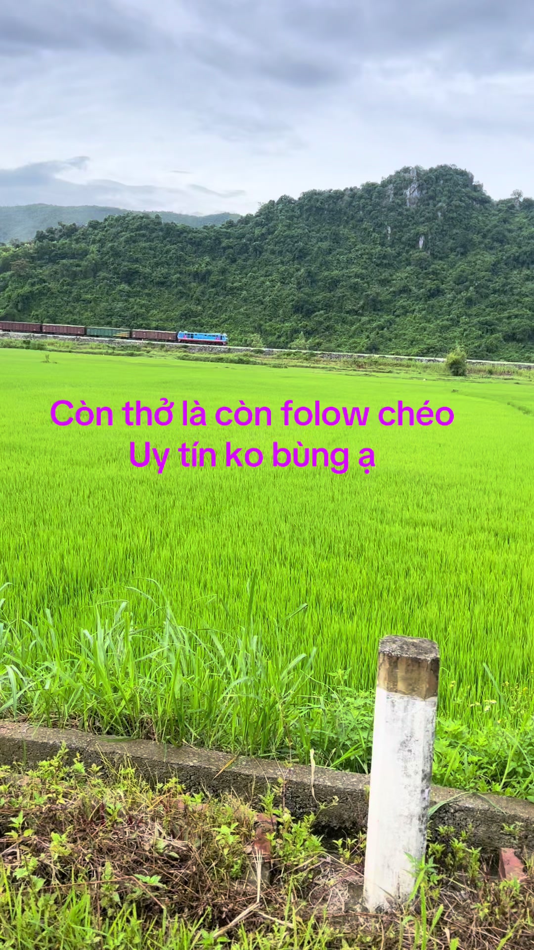 @Chéo fl uy tín