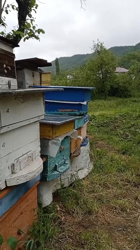 @Нагьид Талибрин