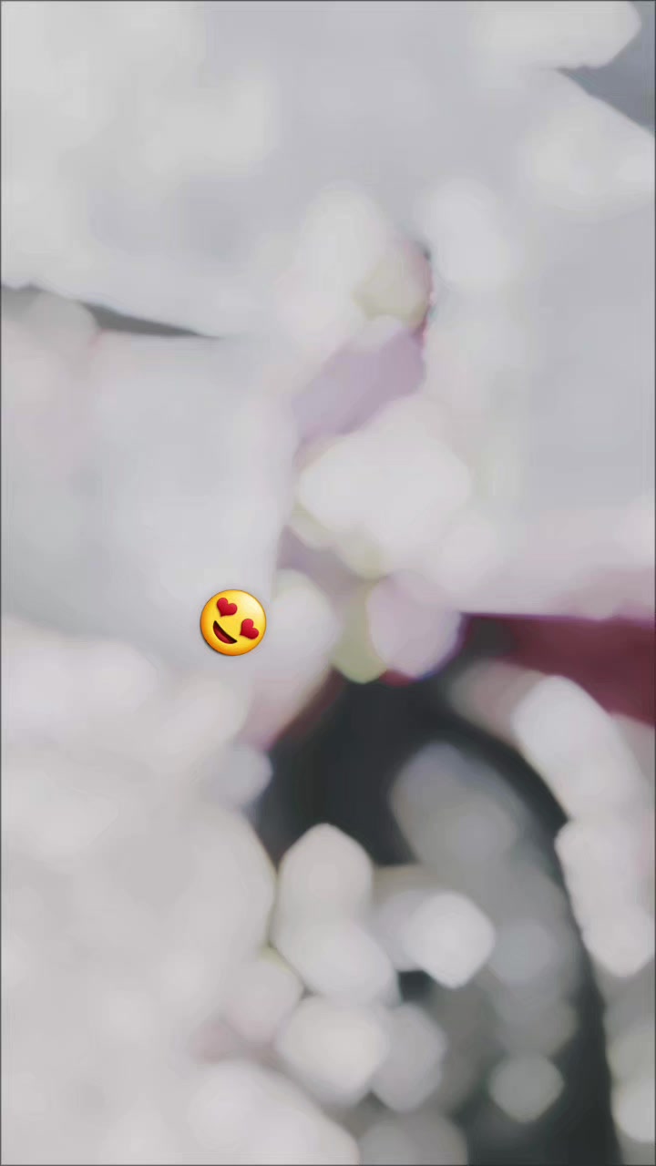 @💋Ari🌸