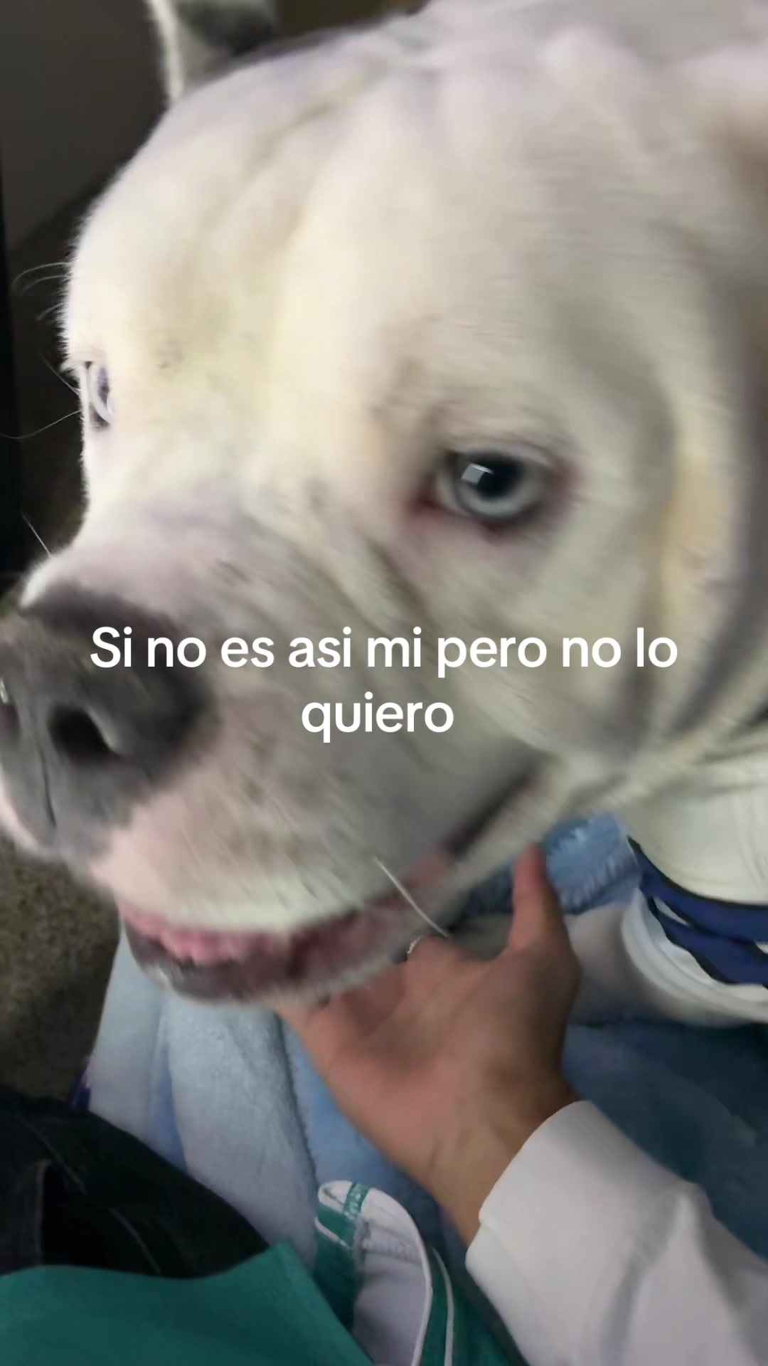 @lil nug