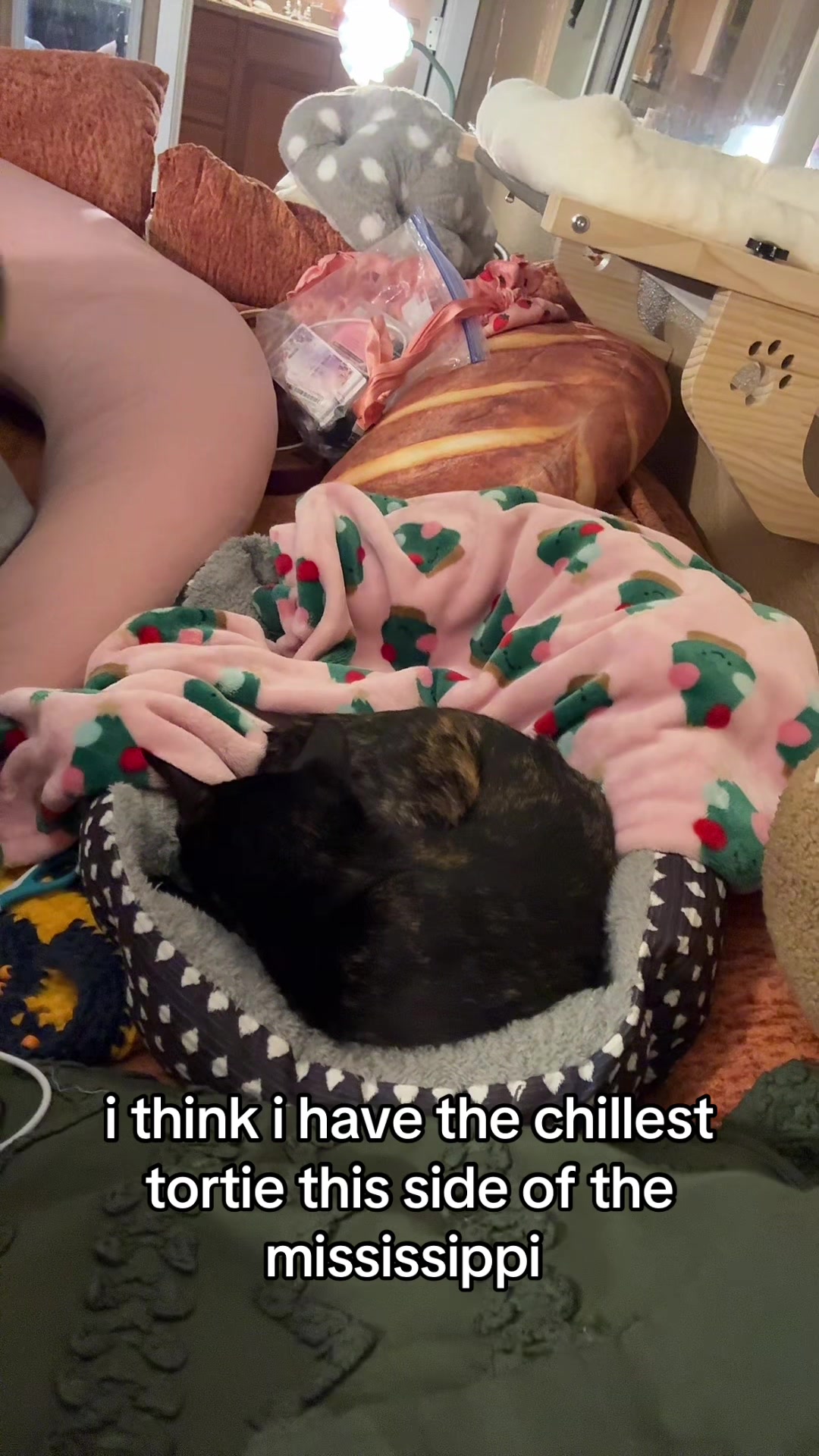 @jaylovesbugs