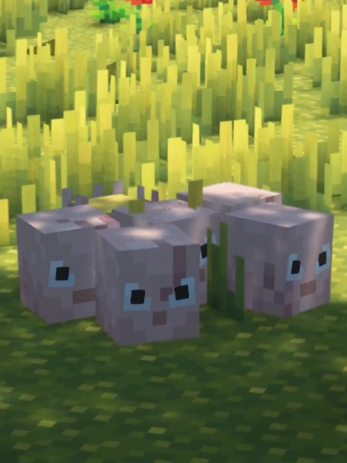 @cobblemon_pokehub