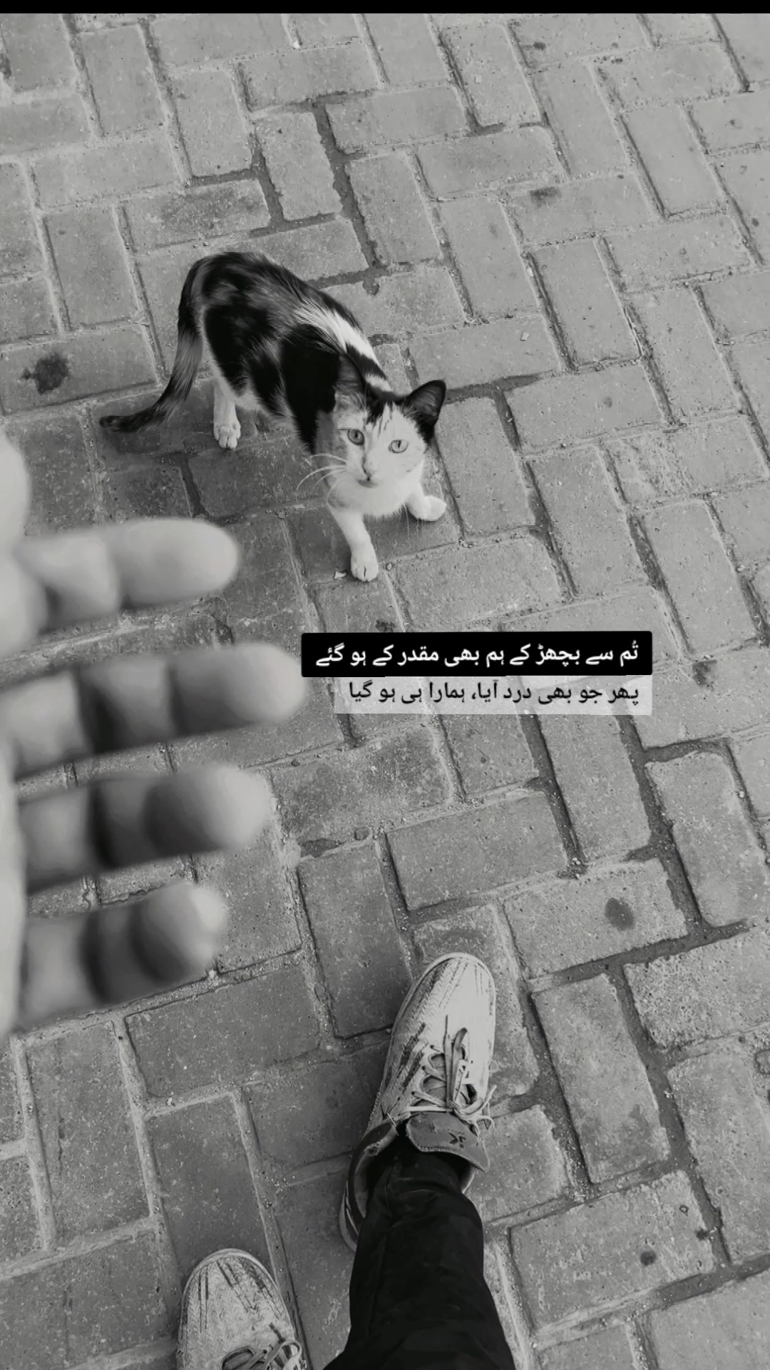 @Nawazish84