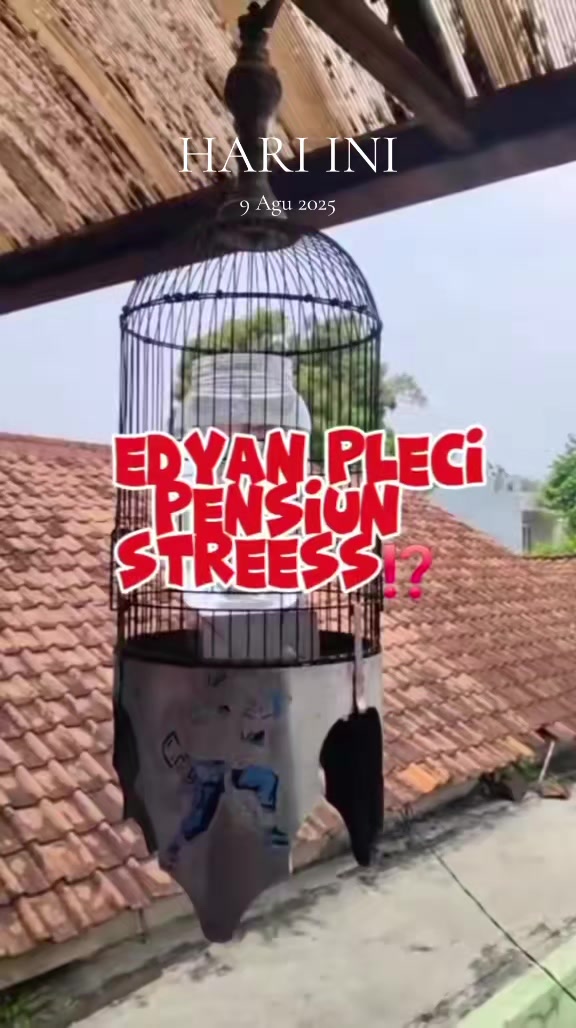 @totalbukpar