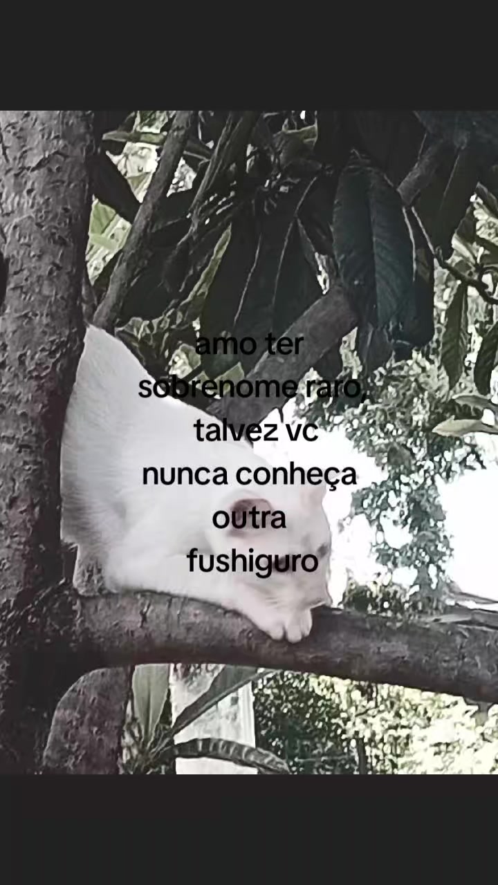 @٭☆-hׁׅ֮ᨮׁׅ֮υׁׅ݊ꪀᥣׁׅ֪ꪱׁׁׁׅׅꪀ-☆٭