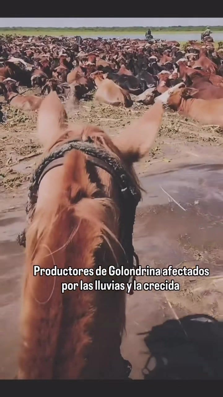@ahoraciudad