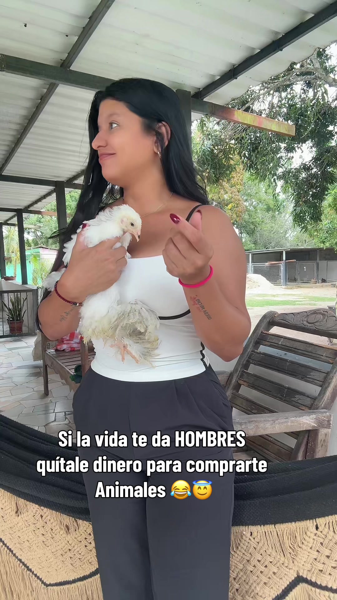 @Granjamascotalandiayaracuy