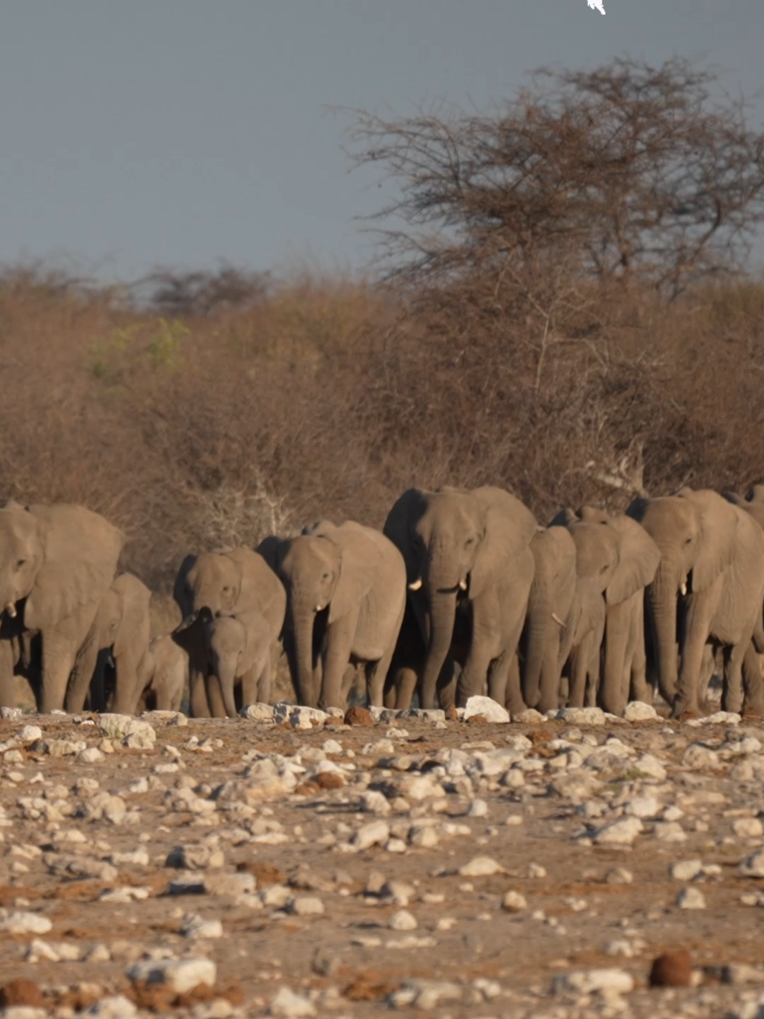@Madbookings Travel Namibia