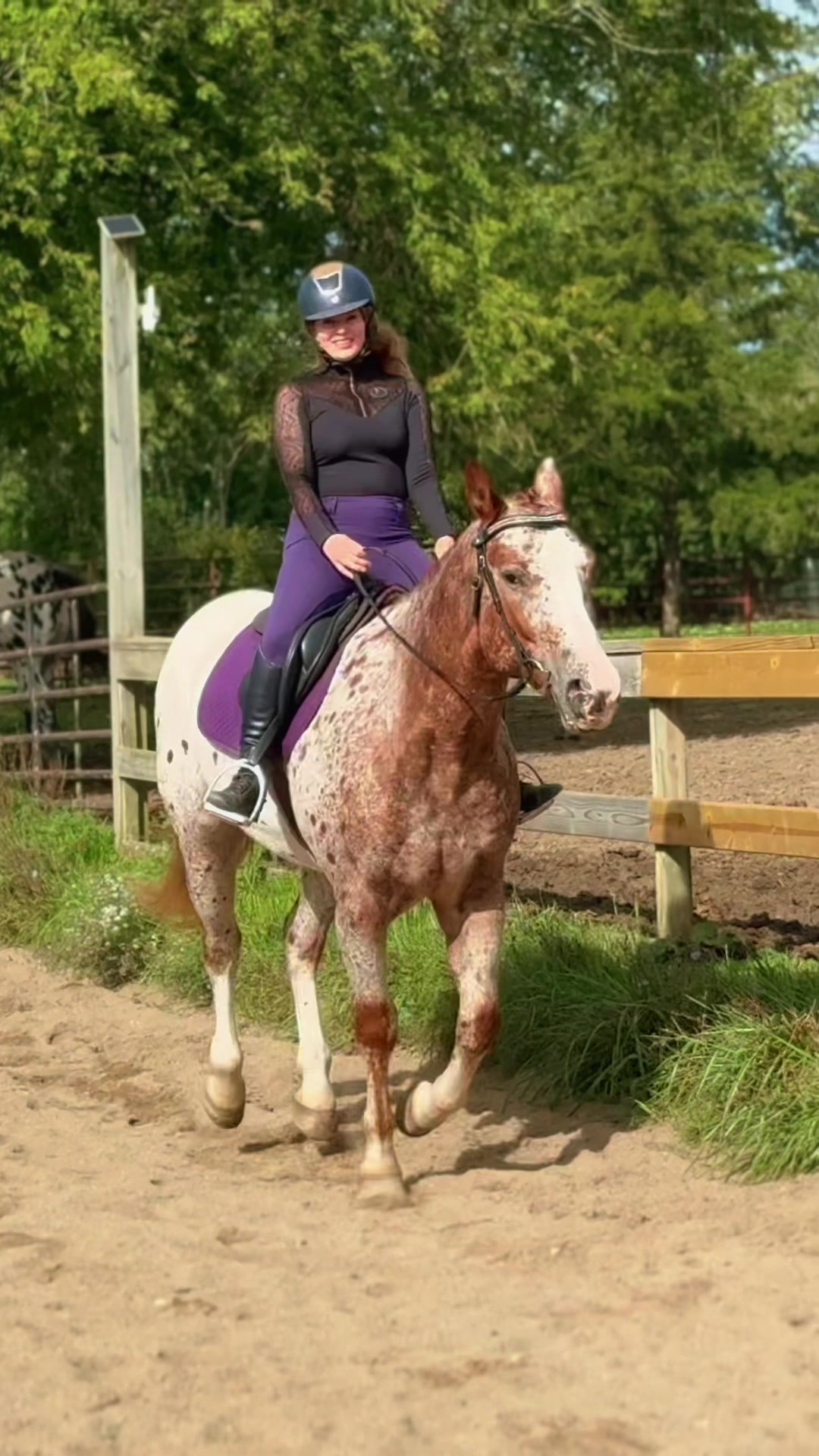 @Free Spirit Equestrian