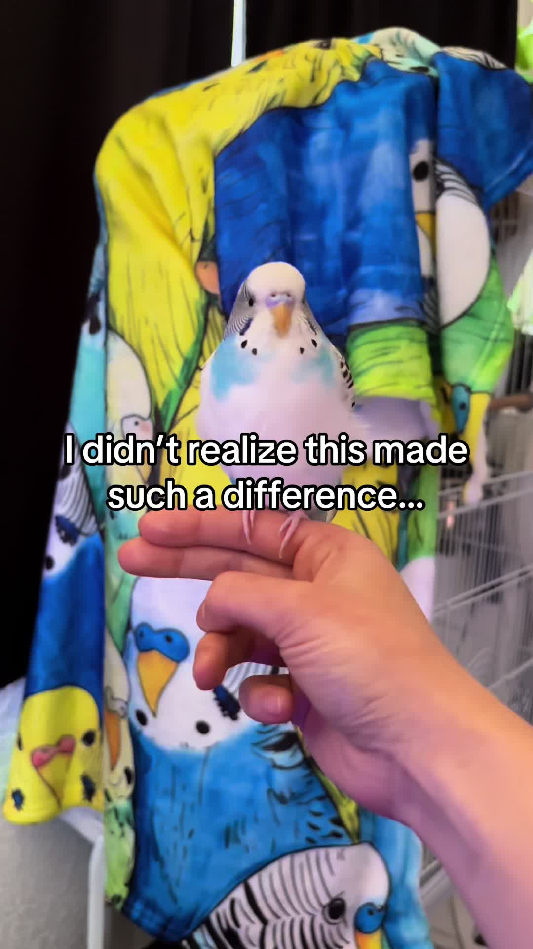 @Tiny Tweets