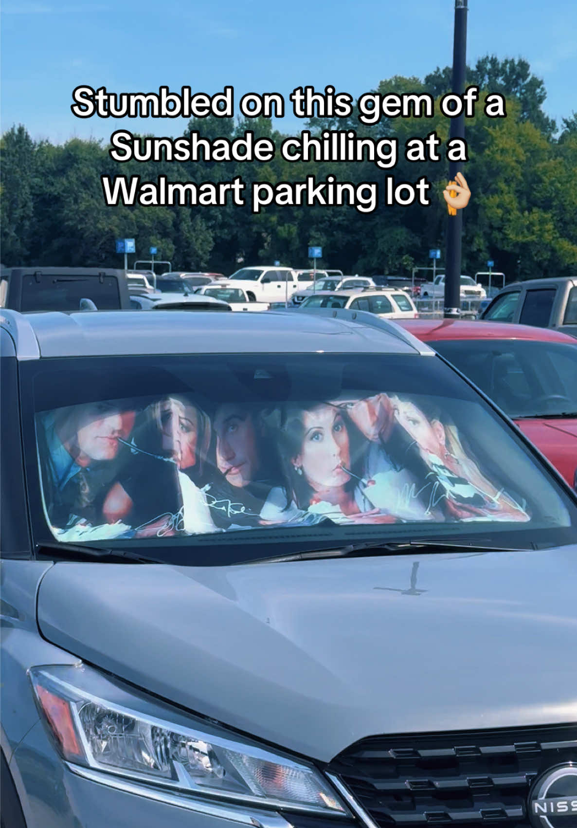 @dane schmidt