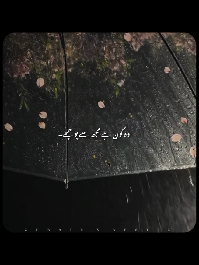 @𝙕𝙐𝘽𝘼𝙄𝙍 𝙓 𝘼𝙀𝙎𝙏𝙄𝙓🎧