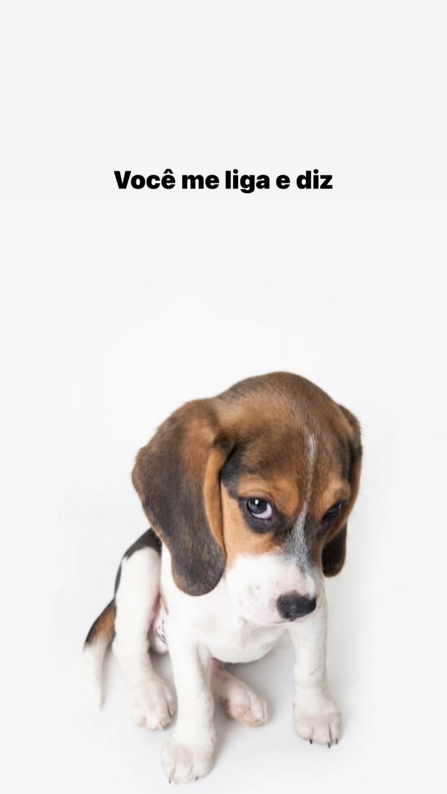 @user1606