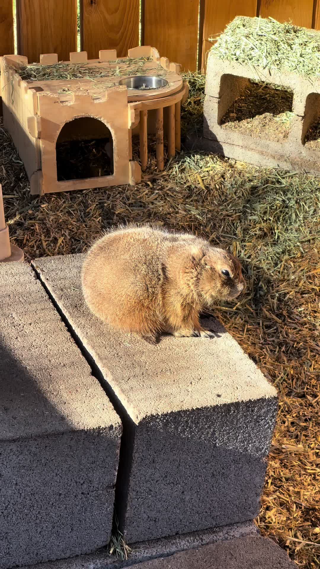 @Texas Wildlife Park