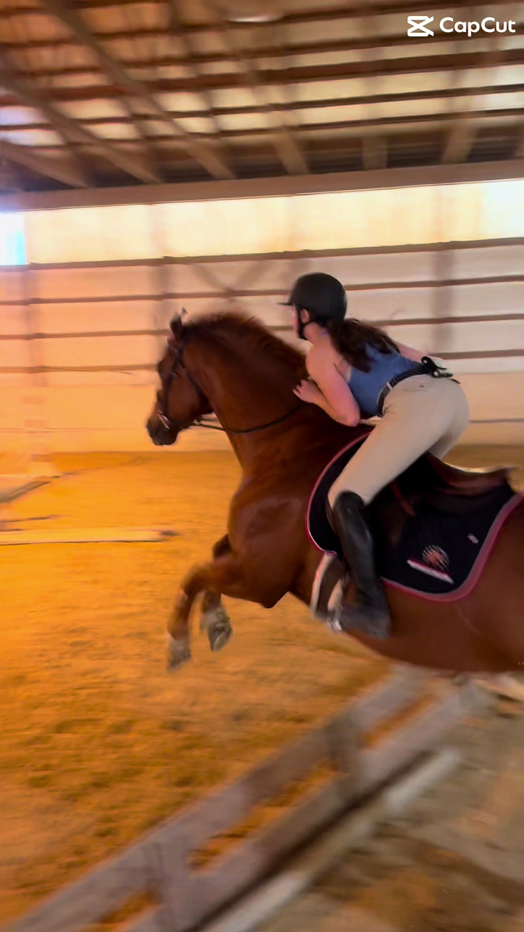 @Aftyn 🐎
