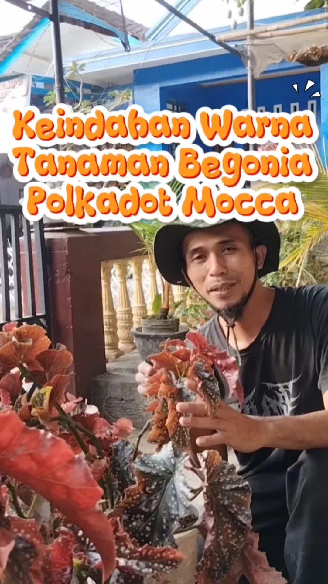 @Bukit Farming