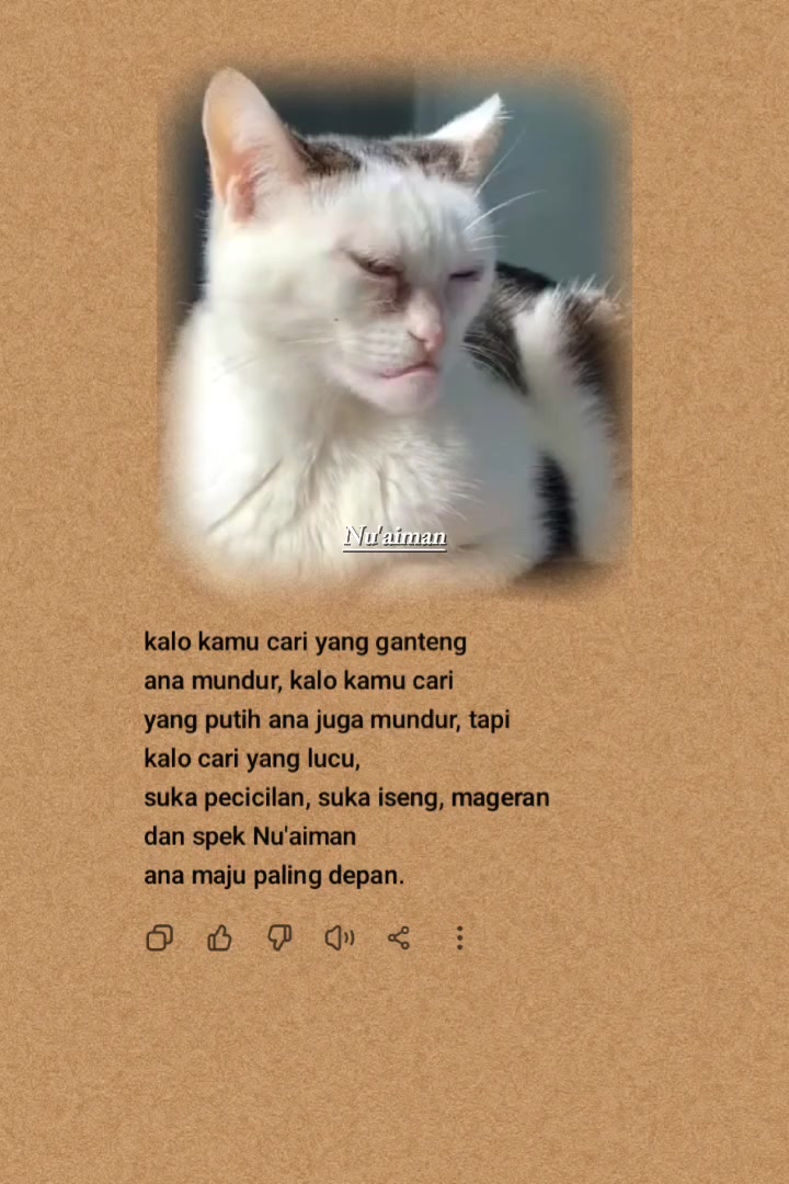 @Nu'Aiman