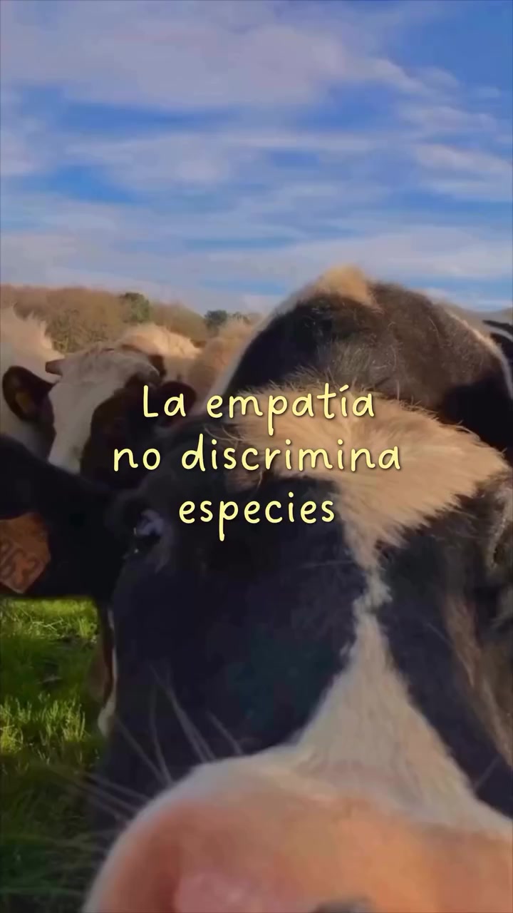 @Viviana Calabrese