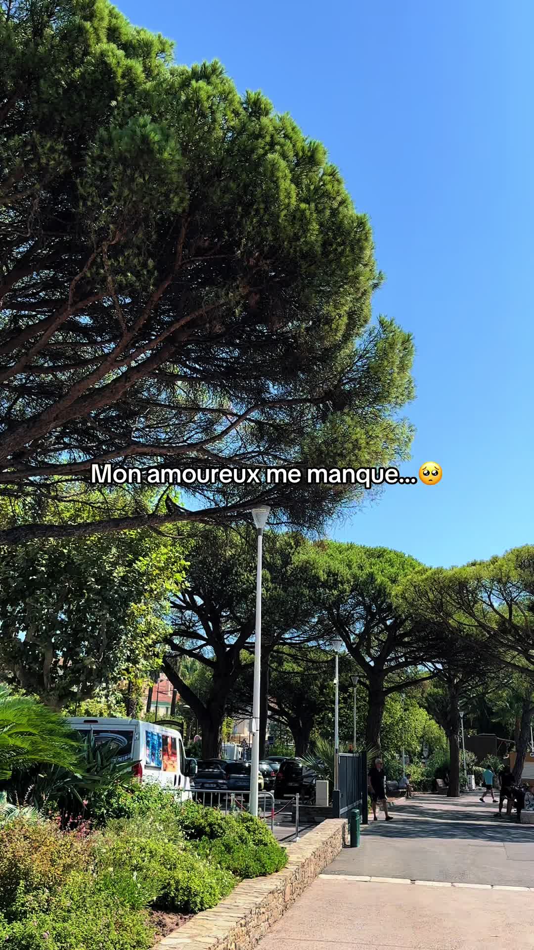 @amourexpress01
