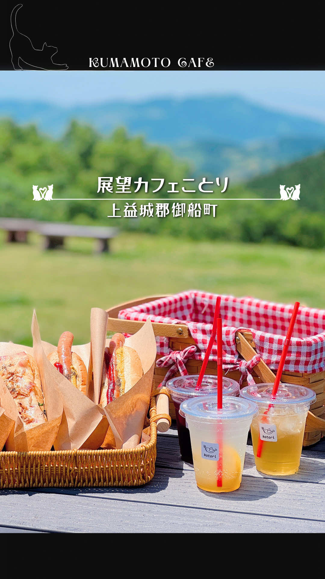 @まゆ猫
