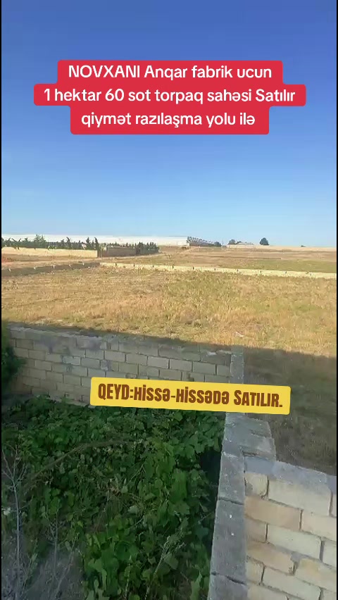 @Novxanı Emlak
