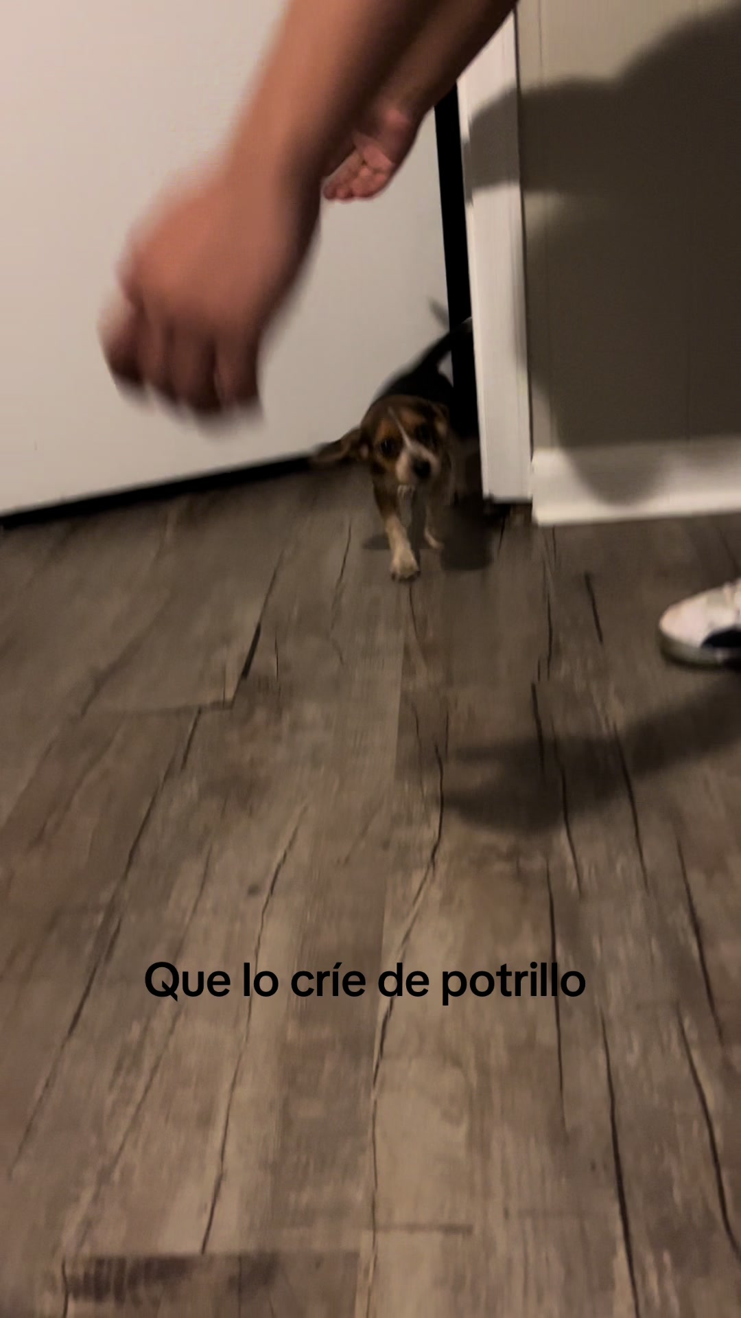 @Ferco444