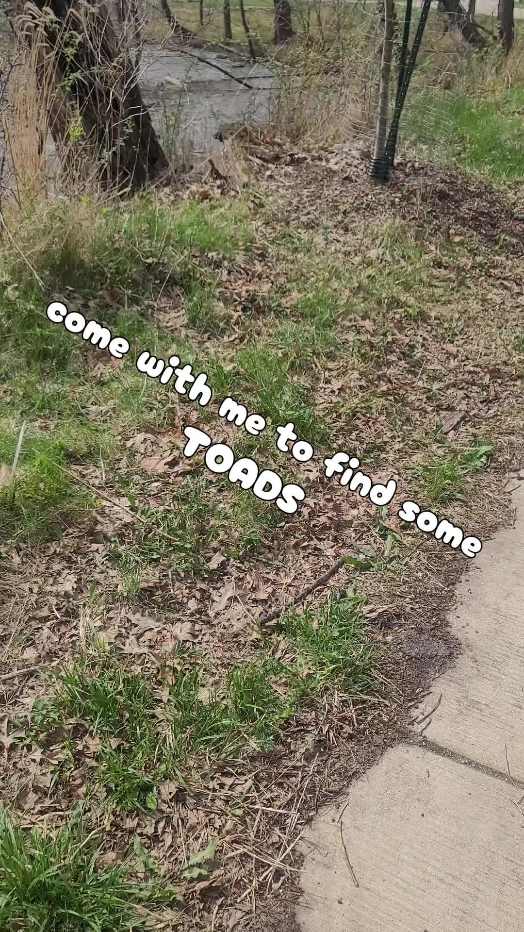 @Zookeeper Melanie